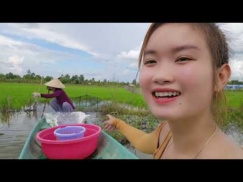 Săn Bầy Cá Trắng Giữa Cái Lạnh Của Trận Mưa Đầu Mùa Trúc