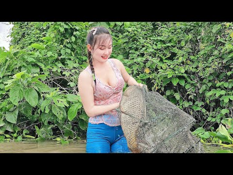 Bắt Con Cá Siêu To Khổng Lồ Sa Bẫy Trên Sông HẬU GIANG Mùa