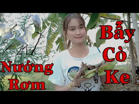 Đặt Bẩy Cò Ke Và Cái Kết Của Con Cò Nướng Rơm Thơm Phức Món