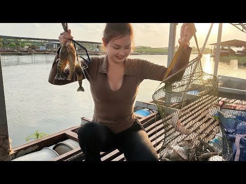 Full Video 12H Câu Tôm Càng Xanh Trên Bè Tại Đồng Tháp