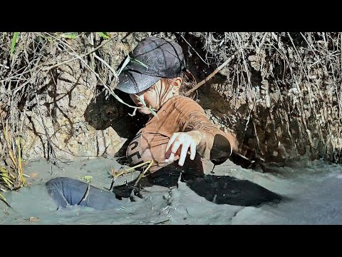 Con cá lóc khủng hơn 2 ký đã bị bắt mùa nước Trúc Phương
