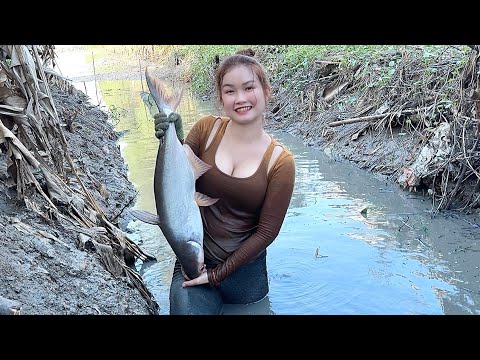 Quay Máy Dầu Nơm Săn Cá Khủng Rất Nhiều Dưới Sòng Bơm Trúc