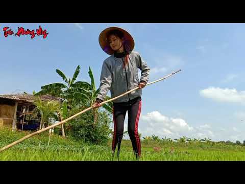 Công Việc Của Trúc Phương Vlog Cô Gái Nông Thôn Hương Quê
