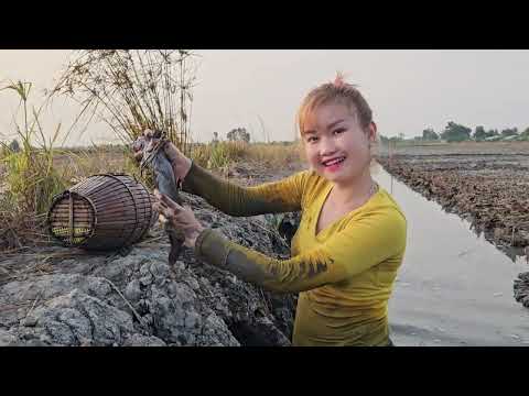 Bắt Con Rắn Ẩn Náo Trong Hang Sâu Ngay Mé Bờ Ruộng Cạn Trúc