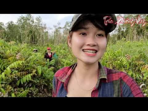 Cô Gái Bẫy Dính Ổ Cá Trong Rừng Hoang Cạnh Khu Sát Thủ Nằm