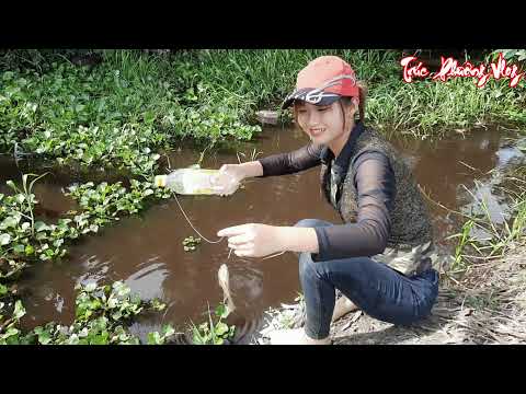 Cận Cảnh Bẫy Cá Ghị Tự Do Trong Kinh Nước Đen Chế Tạo Cần