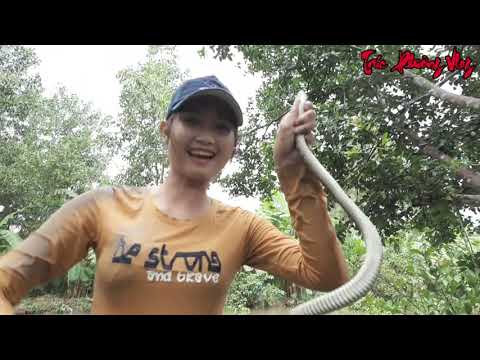 Bà Mẹ Hốt Hoảng Cầm Len Chống Lại Rắn Khi Bị Tấn Công Trúc