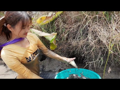 Hang Cá Thần Kỳ Thò Tay Vào Là Bắt Được Cá Trúc Phương Vlog