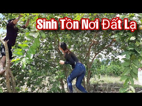 24h Sinh Tồn Trên Đồng Ruộng Nơi Vùng Đất Hoang Trúc Phương