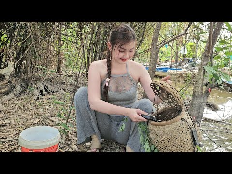 Câu Trúng Ổ CÁ KHỦNG Dưới Tán Tre Già Chờ Bắt Mồi Trúc