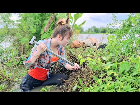 Đào Hang Bắt Ếch Mùa Nước Cùng C H Ó thông minh Trúc Phương
