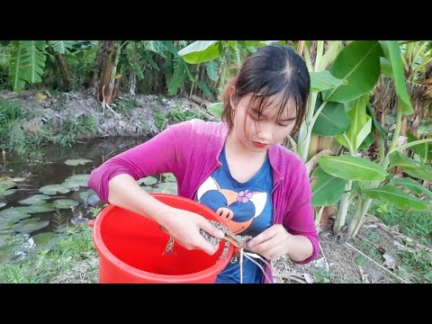 Cuộc Sống Nông Dân Của Hai Mẹ Con Thôn Nữ Buổi Chiều Trên
