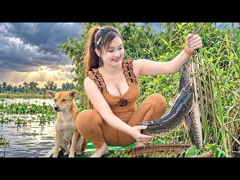 HẾT HỒN Bắt Cá Lóc Khủng Băng Đồng Săn Mồi Theo Nước LŨ Lớn