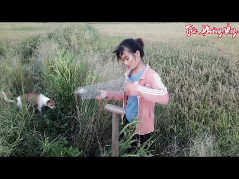 Thôn Nữ Ra Đồng Đào Hang Bắt Chuột Khủng Từ Xà Di 5S Độc Lạ