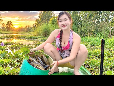 LẬT TUNG ĐÁM RAU MUỐNG Bẫy Đúng Ổ Cá Trú Ẩn Giữa Mênh Mông