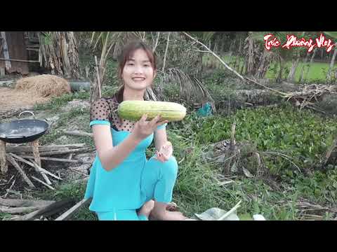 Thôn Nữ Hái Những Trái Dưa Leo Khổng Lồ Hấp Tôm Khủng Có 1
