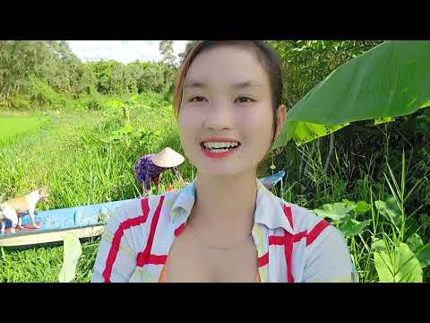 Săn Bầy Cá Trê Vàng Rất Đông Giữa Khu Đất Hoang Mùa Nước
