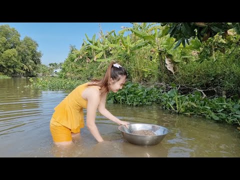Hai Mẹ Con Mò Đầy Thao Chem Chép Ở Sông Cái Làm Món Gì Ngon