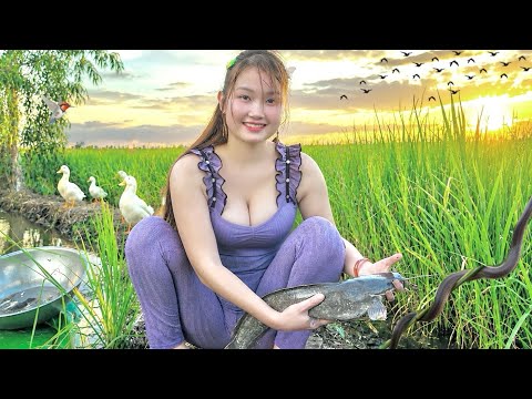 Cá Lớn Lẫn Rắn Chen Nhau 1 Bẫy Đông Nghẹt Fish and Snakes