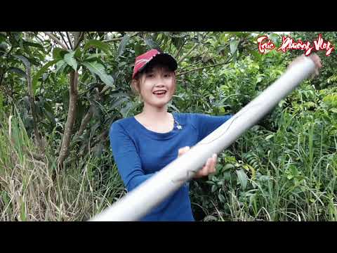 Cận Cảnh Gái Quê Bắt Lươn Sự MẠO HIỂM Được Đền Đáp Quá