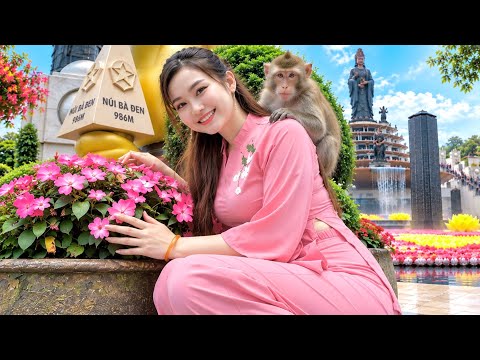 Hành Trình Lên Đỉnh Núi Bà Đen Cao 986 Mét Thôi Bắt Cá Thử