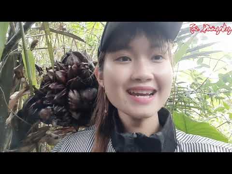 Thôn Nữ Vượt Rừng Tìm Món Ăn Từ Dừa Nước Ngày Mưa Miền Tây
