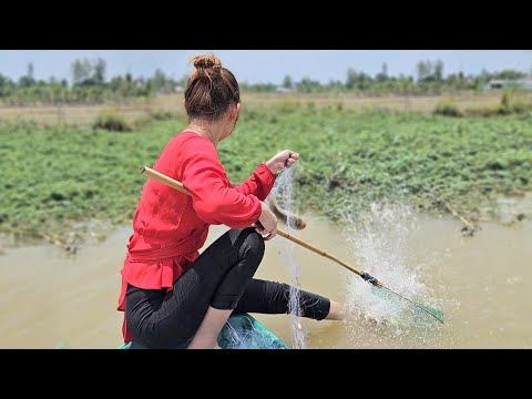 Săn Cá Thác Lác Cườm Ngày Gió Giật Mạnh Giăng Lưới Bắt Cá