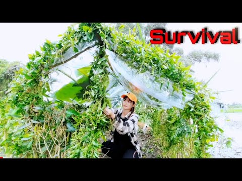 Sinh Tồn Trong Rừng Hoang Săn Tìm Nhiều Loại Cá Trúc Phương