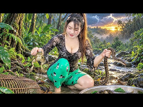 SẤM SÉT N G U Y HIỂM SĂN RẮN LẪN ẾCH GIÀ Cạnh Bụi Tre Gai