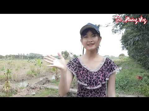 Thôn Nữ Quật Cây Bắt Rắn Hai Đầu Tin Đồn Là Có Thật Trúc