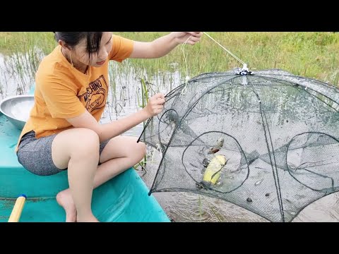 Không Ngờ Cách Bẫy Đơn Giản Này Bắt Được Rất Nhiều Tép Đồng