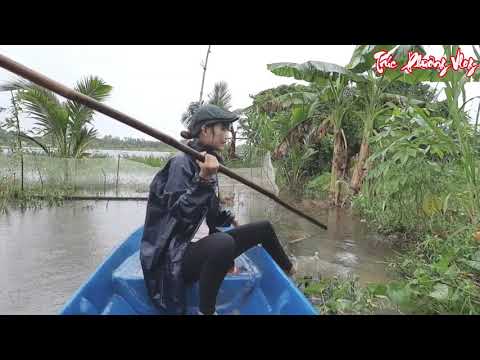 Thôn Nữ Bẫy Chuột Cống Nhum Khổng Lồ Trận Chiến Với Loài