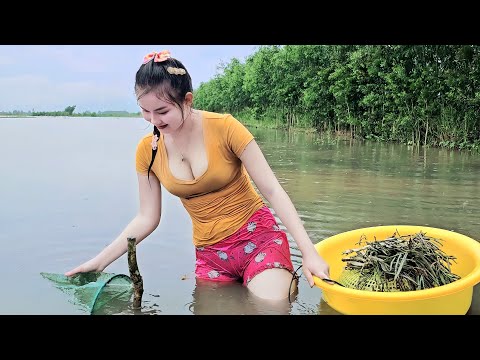 Bẫy Dớn Dính Bầy Tép Thấy Mê Trên Ruộng Ngập Nước Trúc