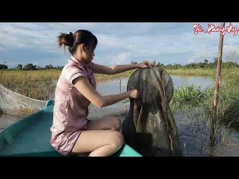 Mặt Trời Lặn Thôn Nữ Khám Phá Khu Cỏ U Du Rất Nhiều Cá Lươn