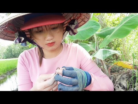Hai Mẹ Con Câu Lươn Theo Mé Rừng Lúa Quá Vui Trúc Phương