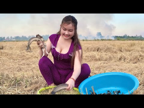 Trở Lại ĐỒNG CHÁY Sau 3 Ngày Bẫy Ếch Khủng Xuất Hiện Trúc
