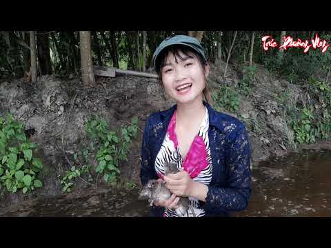 Ra Đồng Truy Tìm Anh Em Mãng Xà Thôn Nữ Gặp Sự Cố Không Ngờ