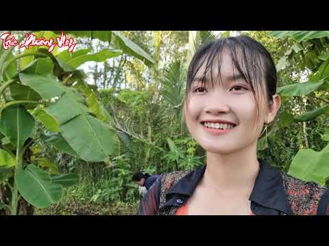 Thôn Nữ Phát Hiện Rất Nhiều Lươn Và Cá Trê Trong Khu Cỏ Mồm