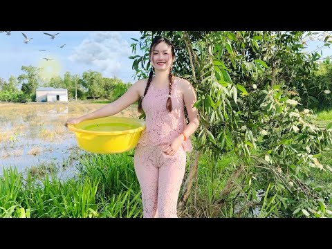 Con Nước Đục Không Ngăn Được Bầy Cá Này Sa Bẫy Dớn Trúc