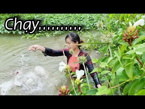 Thôn Nữ Hốt Hoảng Cá Khủng Cắn Câu Chậm 1 Giây Là Mất Luôn
