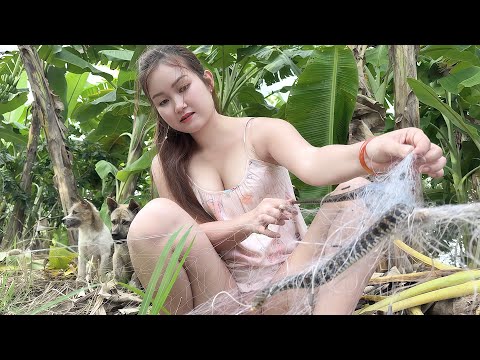 Bẫy Lưới Vừa Hạ Liền Bắt Dính Con Rắn Này The Snake Got