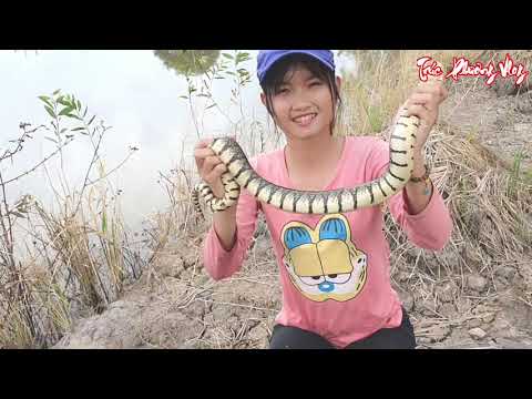 Kỳ Lạ Với Chiếc Chài Lưới Bắt Cá Thôn Nữ Bẫy Được Loài Rắn