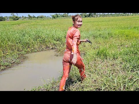 Đào Hang Bắt Chuột Mùa Lúa Ở Miền Tây Thật Kinh Khủng Trúc