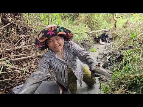Dốc Hết Sức Lực Tát Cái Mương Bỏ Hoang Săn Gần Chục Ký Cá