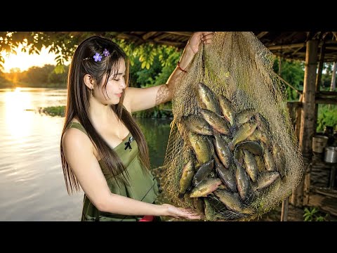 Giăng Lưới Cá Rô Trên Ruộng Rạ Dính Se Viền Nhiều Không