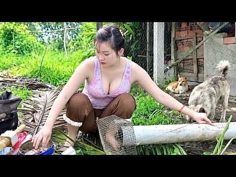 Thợ Săn Phát Tín Hiệu Truy Bắt Con Vật Lẩn Trốn Trong Ống