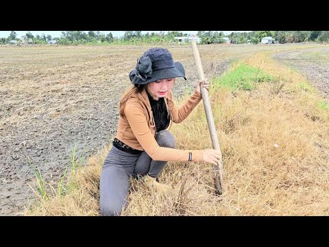 Cuộc Truy Đuổi Săn Ếch Già Đầy Ngoạn Mục Bắt Ếch Kêu Trên
