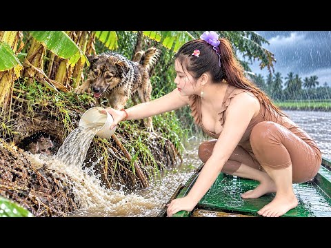 Vượt Nước Quyết Bắt Con CHUỘT Lặn Cực Nhanh Mùa LŨ Bỏ Luôn