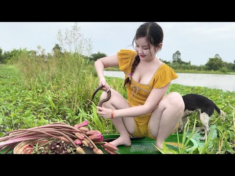 Bẫy Cá Khu Rau Muống Bắt Ngờ Dính Con Lươn Vàng Thấy Mê