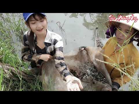 Thật Đáng Kinh Ngạc Con Mương Này Chứa Đầy Cá Lòng Tong Kéo